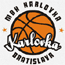 https://img.gameyidong.cn/img/basketball/team/0c2f73d2ab7041cf90029a20deff7f17.gif