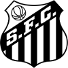 https://img.gameyidong.cn/img/football/team/674171a5ca8e8fd3a9784bec35afb185.png