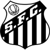 https://img.gameyidong.cn/img/football/team/b8a86b392e1a78523746c1cfa74ca9dd.png